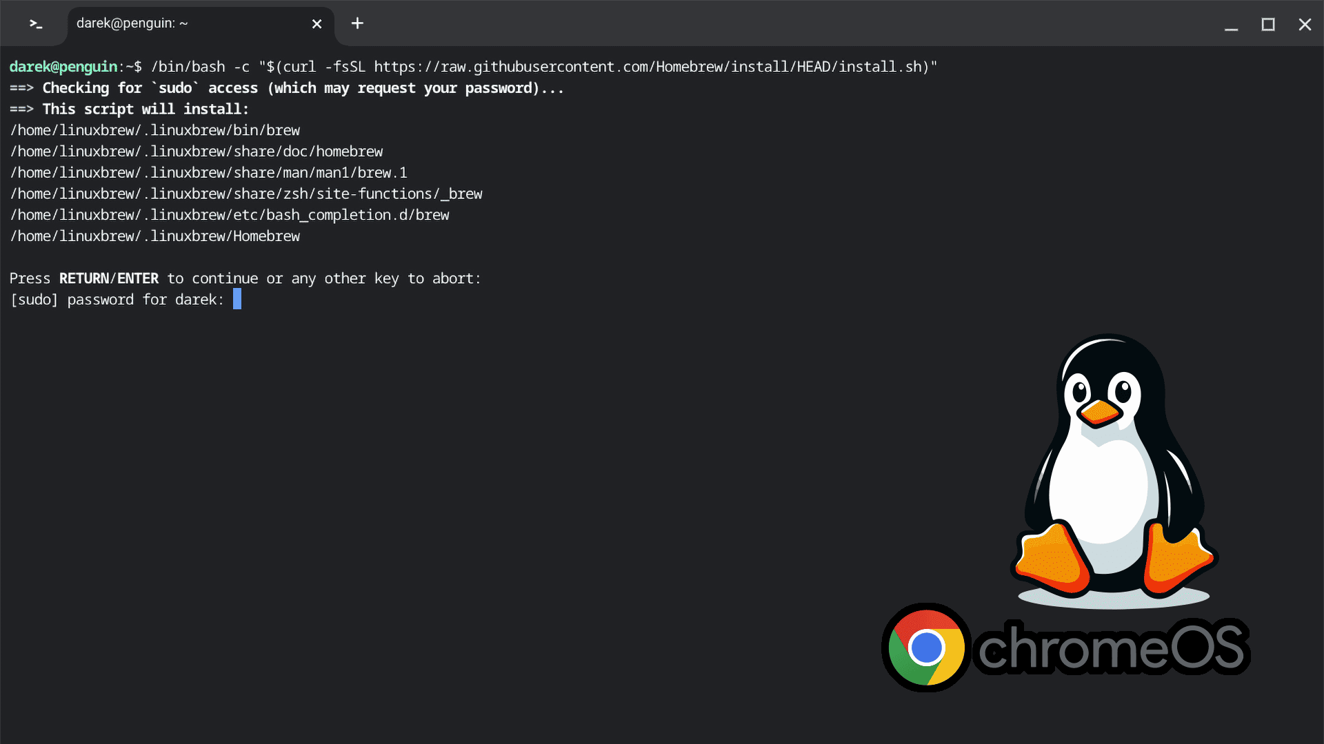 ChromeOS, Linux environment and sudo password