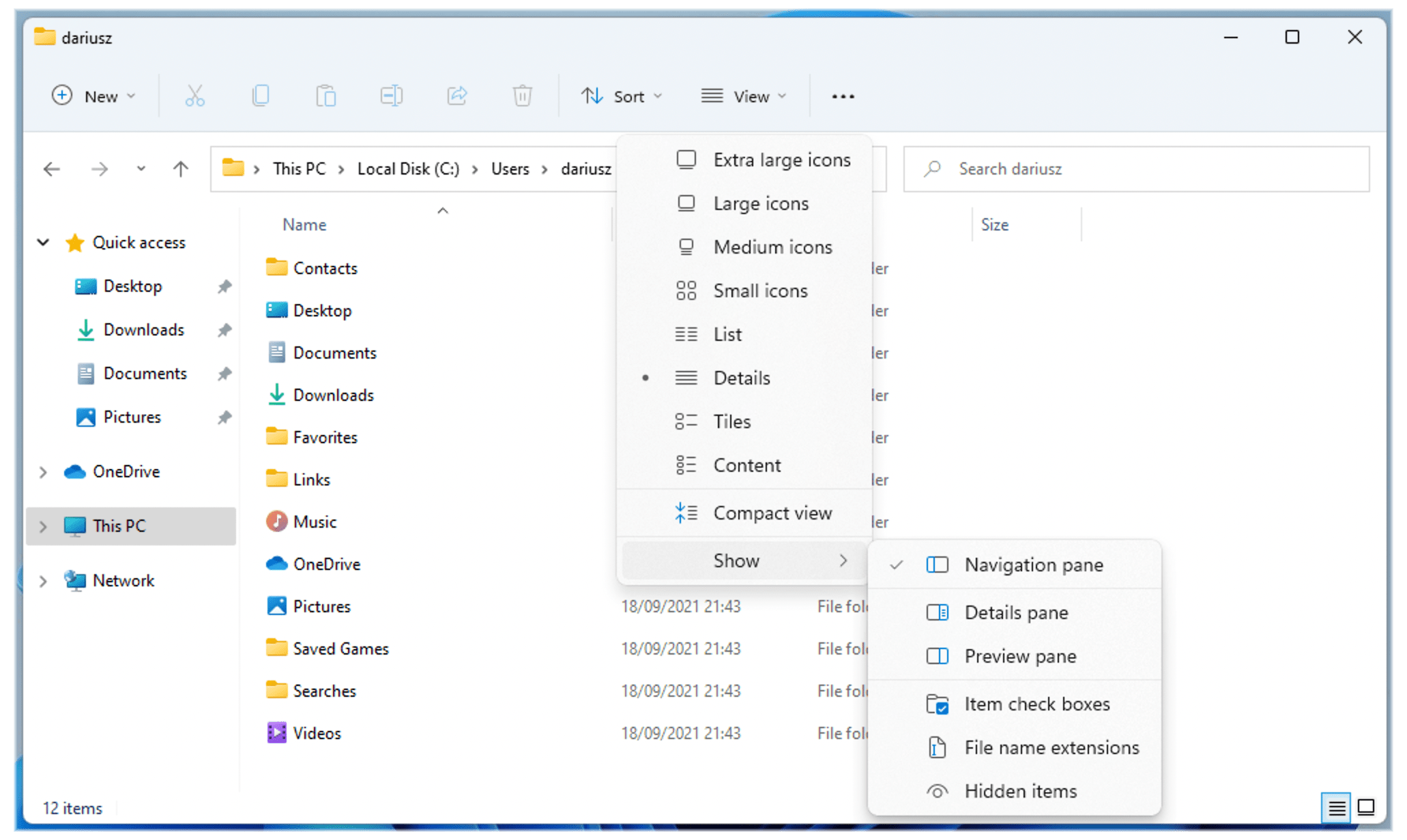 Windows 11 Show Hidden Items